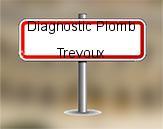 Diagnostic Plomb avant démolition sur Trévoux